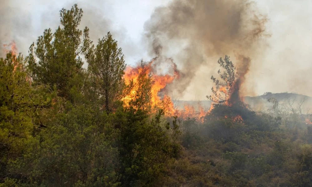 Φωτιά σε δασική έκταση στη Λυρκεία Αργολίδας – Προειδοποιητικό μήνυμα από το 112